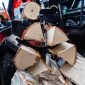 Palax Firewood Processor - D410