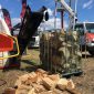 Palax Firewood Processor - Palax Motti