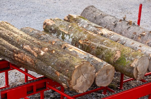 x-firewood-factory-feed-900-log-table-003 Palax Firewood Processor - Firewood Factory