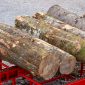 Palax Firewood Processor - Firewood Factory