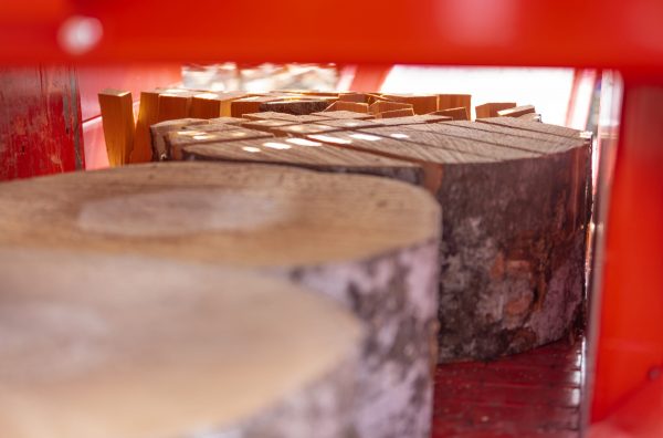 x-firewood-factory-logs-moving-into-vertical-log-splitter-x90-001 Palax Firewood Processor - Firewood Factory