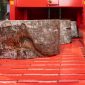 Palax Firewood Processor - Firewood Factory